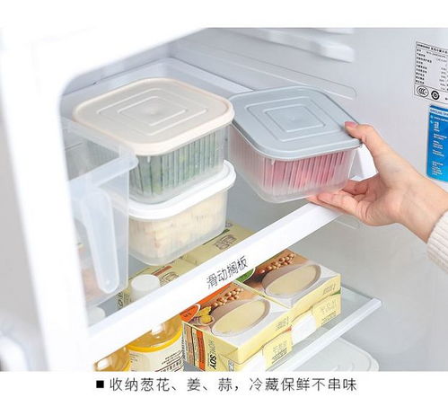 創(chuàng)意廚房好物 點(diǎn)亮烹飪樂趣，提升家居幸福感